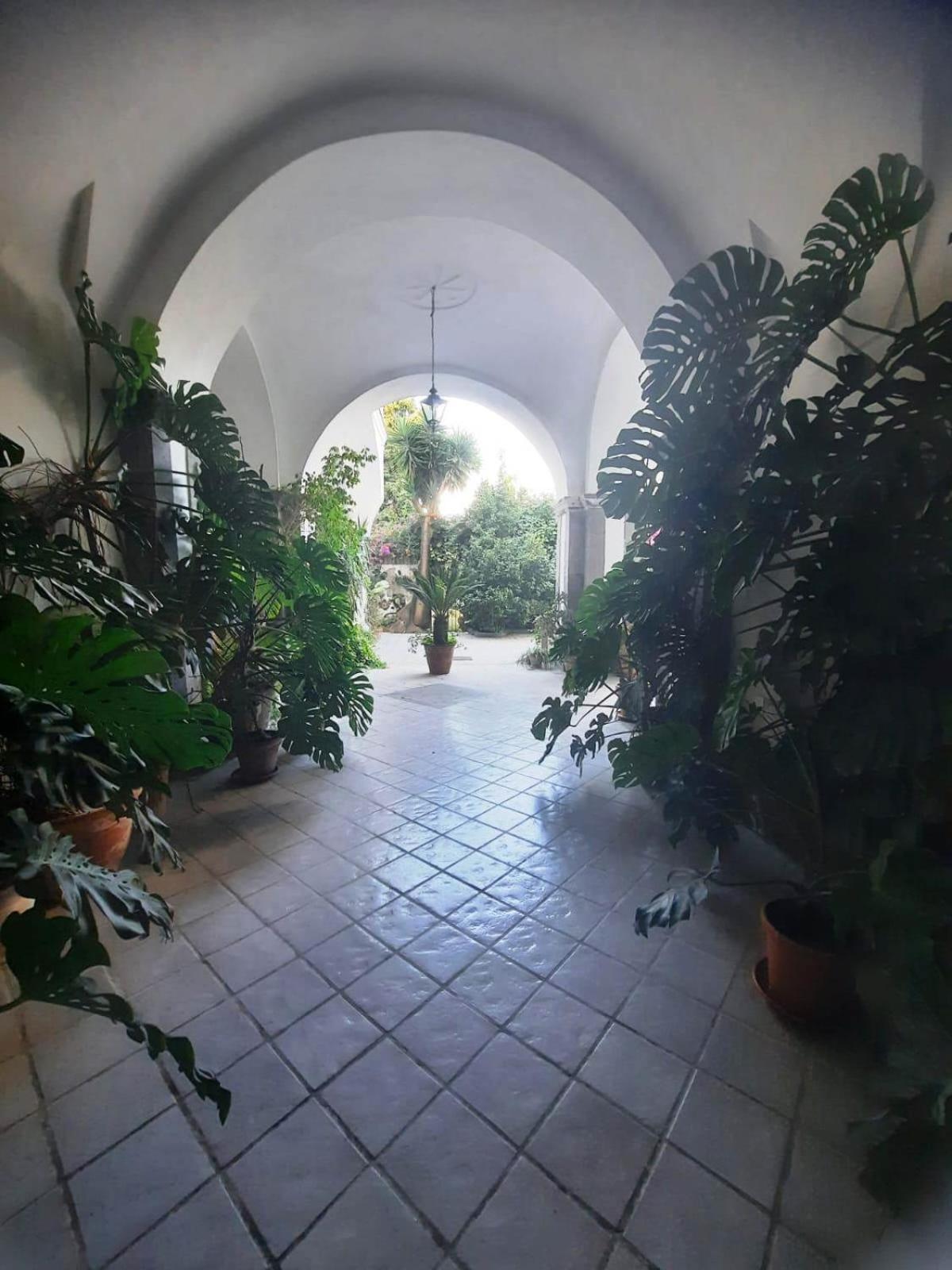 La Casa Delle Camelie Hotel Meta Bagian luar foto